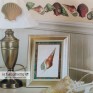 WALLIES CUTOUT ANNA GRIFFIN SEASHELL